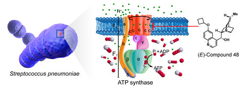 LetPub Graphical Abstract